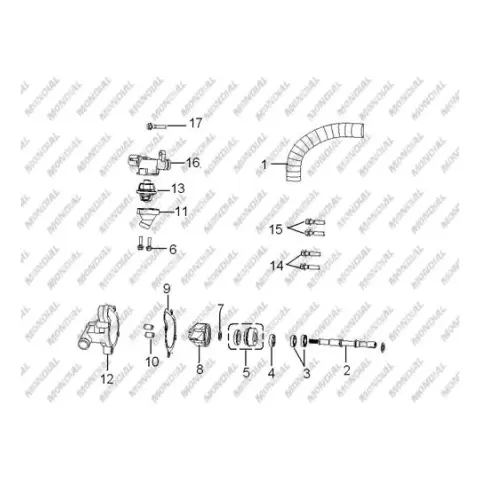 Mondial 150 MC Roadracer Civata M6X1X30 (Din 6921)