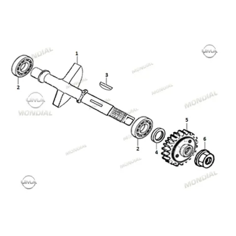 Mondial Z-One İ (2020) Denge Mili Dişli Rondelası (15X25X7.5)