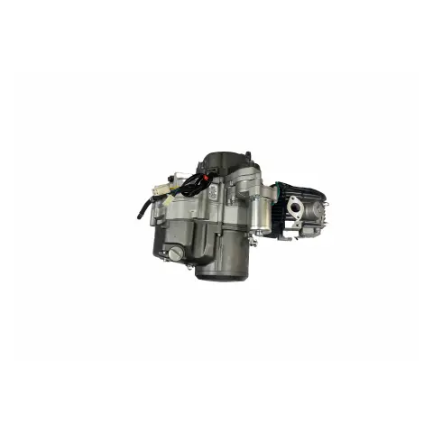 Motolux Afrika Wolf (49 CC) Motor Komple
