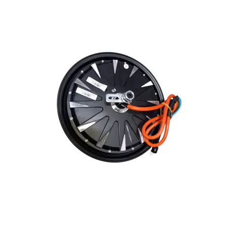 Motolux Pitton 6000 (E-Bike) Motor