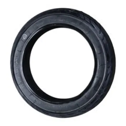 Arora Casper Pro (2026) Dış Lastik (2.50X10)