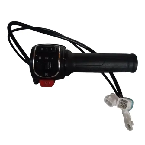 Motolux Valencia-E-Bike Gaz Kolu Takımı