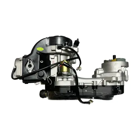 Motolux W46 (49CC) Motor Komple