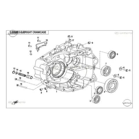 CFMoto 250NK E5 Rulman