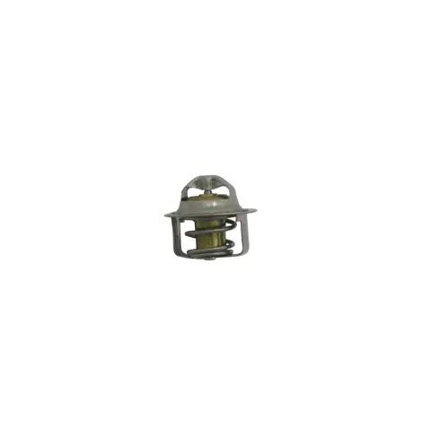 CFMoto CF 450 SR (CF400-6F) Termostat