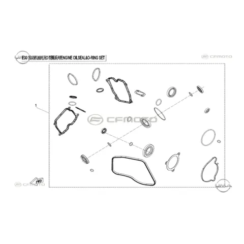 CFMoto CF1000UTR-C (Zforce) 1000SPORT-R (T1B) O-Ring Ve Keçe Takımı – 3. fotoğraf