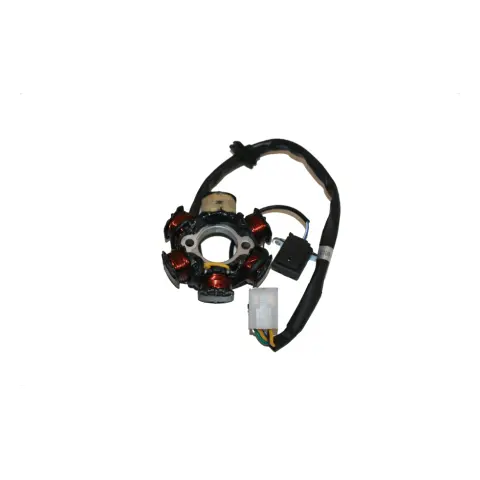Mondial 110 Hector Sport (Off Road) Stator