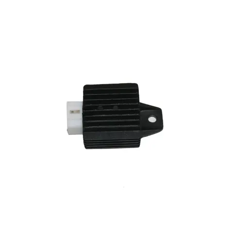 Mondial 110 Hector (2011) (Off Road) Regulator