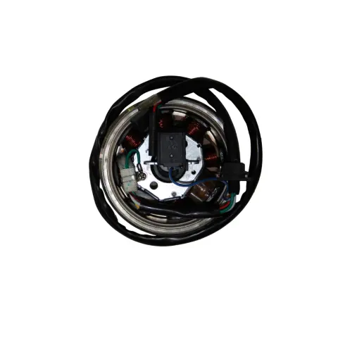 Mondial 150 FJX (Off Road) Alternator Komple