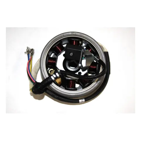 Mondial 200 Jackalx Alternator Komple