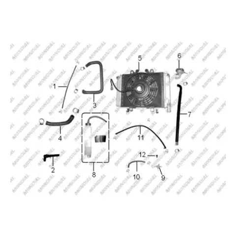 Mondial 250 Spiderx Burç 9X14X43