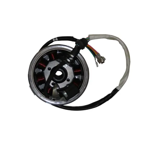 Mondial MD200 Jackal Alternator Komple