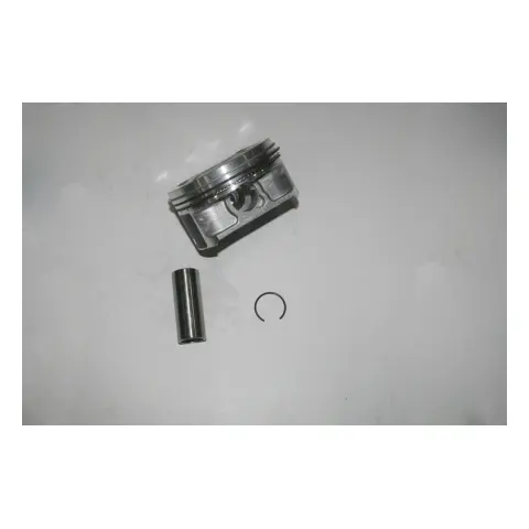 Mondial Terralender 800 Piston Grubu İ