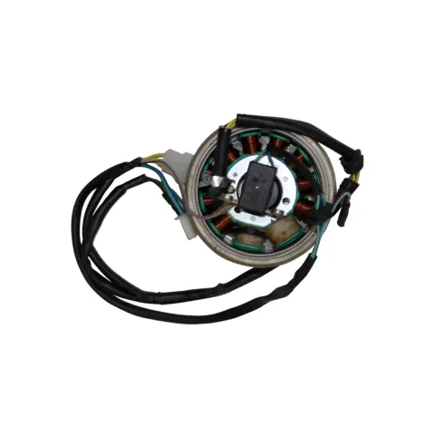 Mondial 250 MCT Alternator Komple