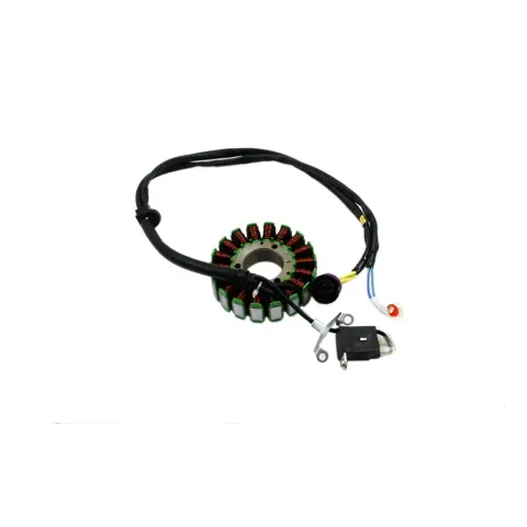 Mondial X-Treme Enduro 250 (2015) Stator