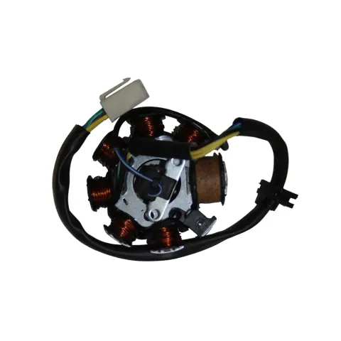 Mondial 100 KM Stator