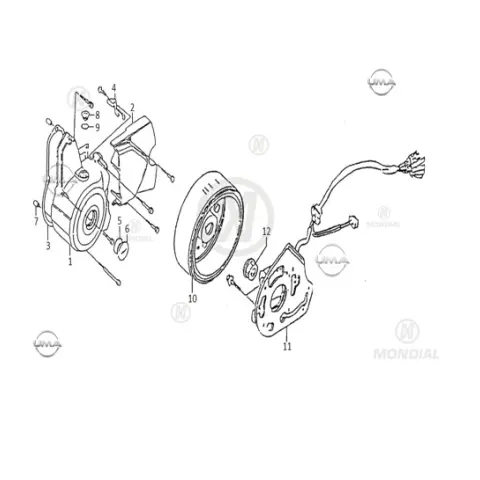 Mondial 100 SFC Automatic (2019) Rotor