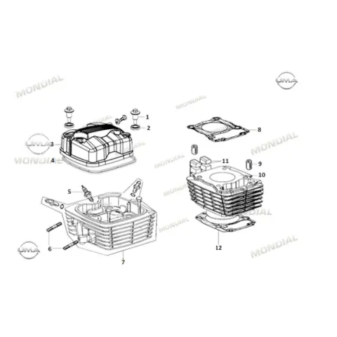 Mondial RX1 Buji CPR8EA (9)