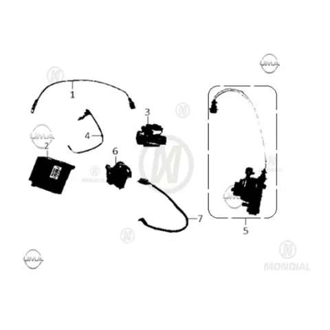 Mondial 100 Ritmica ECU