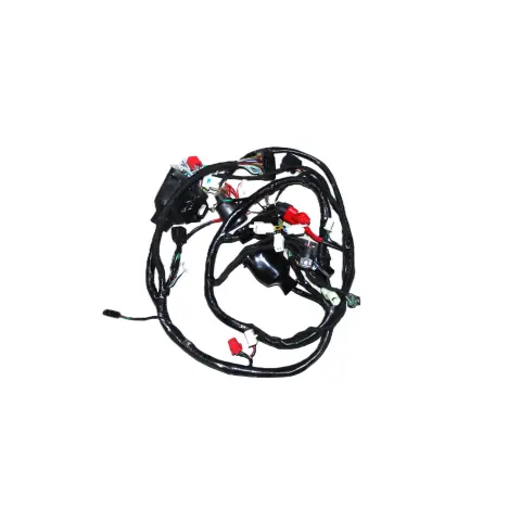 Arora Boss 50 Elektrik Tesisatı (Euro 5)