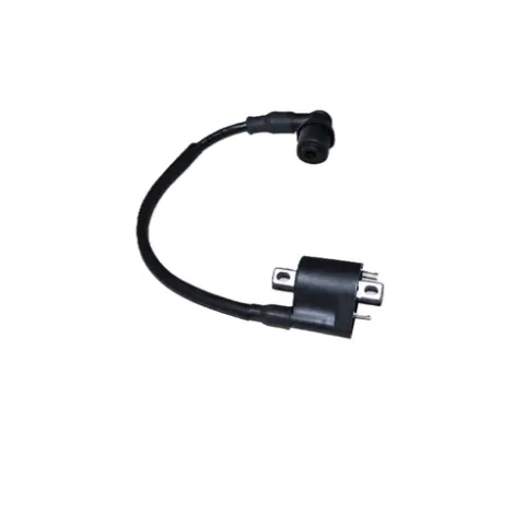 Arora Boss 50 Ateşleme Bobini (gy-6)