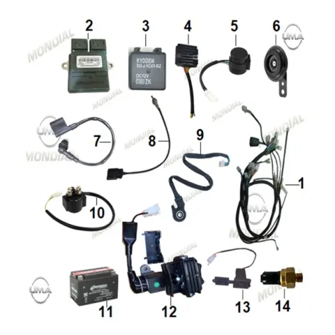 Mondial 125 Exon ECU