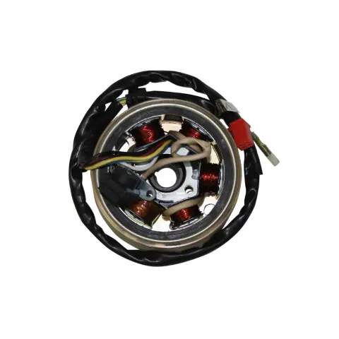 Mondial 125 MT Alternator Komple – 1. fotoğraf