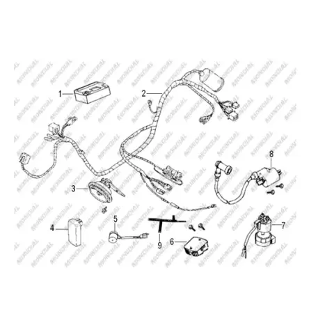 Mondial 125 UPM - Pizza Regulator – 3. fotoğraf