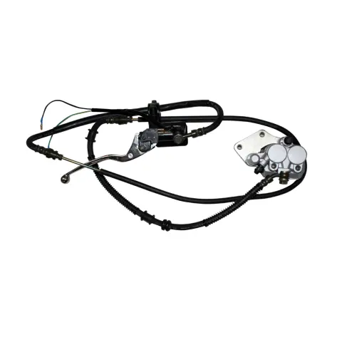 Mondial 125-150 RR Arka Fren Sistemi Komple – 1. fotoğraf