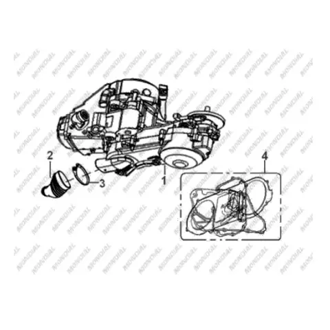 Mondial 151 RS Motor Komple