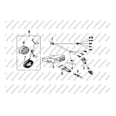 Mondial 250 Buffalo ECU