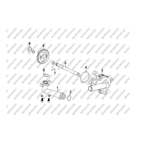 Mondial 250 Buffalo Devir Daim Pompası Komple