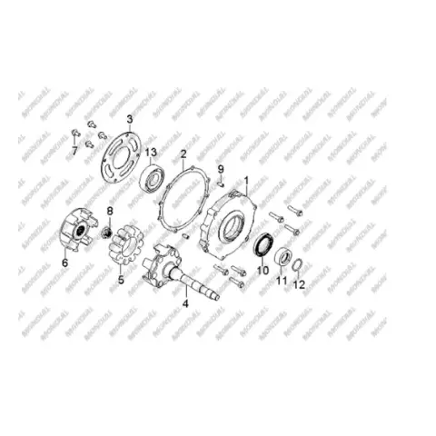 Mondial 250 Jetmax O-Ring 23×2.3