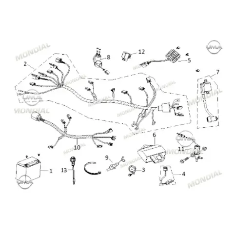 Mondial 50 Tab ECU