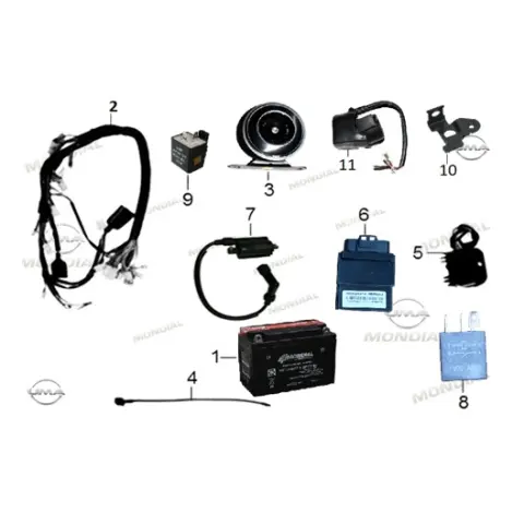 Mondial 100 UAG İ (2022) Regulator