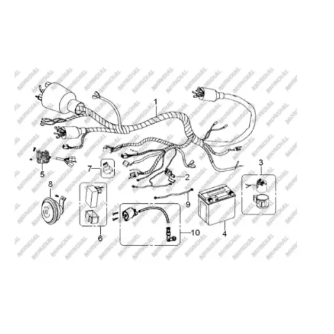 Mondial 125 Aggressive Regulator
