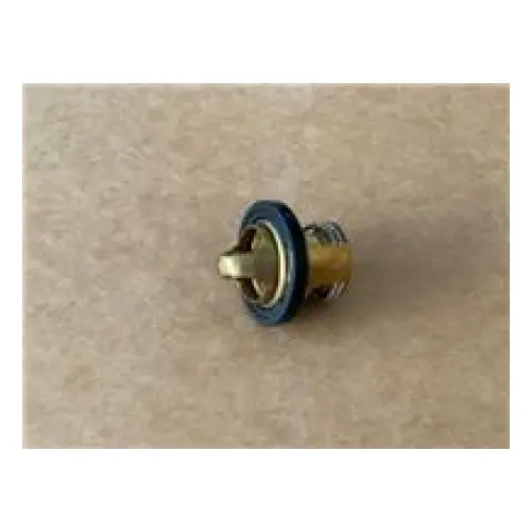 Arora Chinf 318 Termostat Sensörü