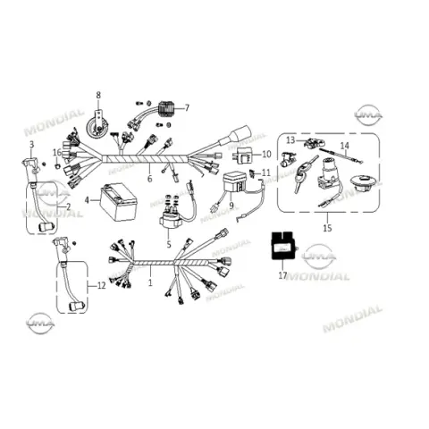 Mondial Bucanner 250I Sinyal Flasoru
