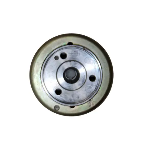 Mondial MR250 Destro (2010) Rotor