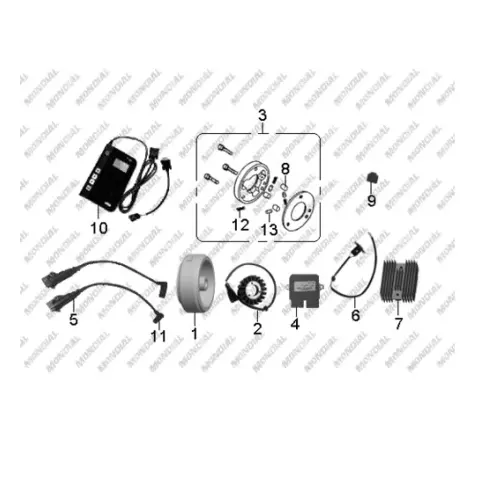 Mondial MR250 Destro (2010) ECU – 3. fotoğraf