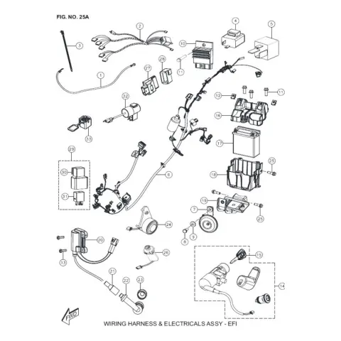 TVS Wego ECU