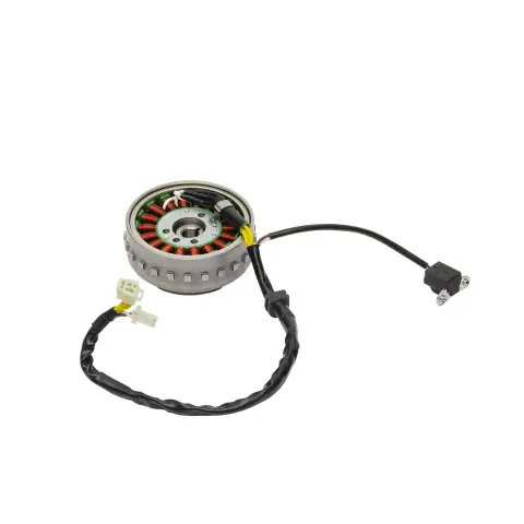 TVS Apache RTR 200 E4 Alternator Komple