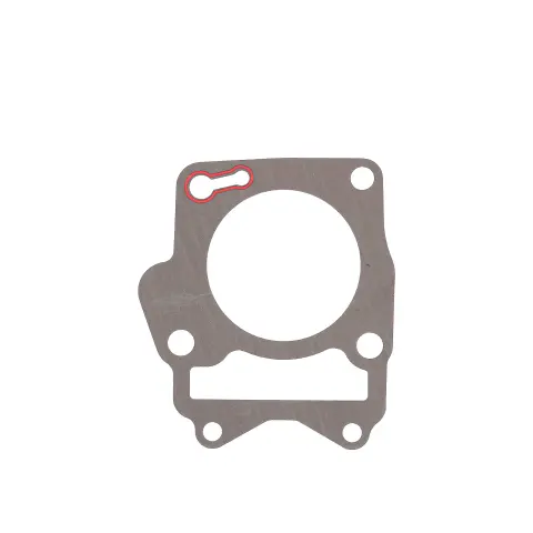 TVS Raider 125 (E5) Silindir Alt Conta