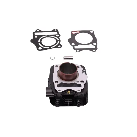 TVS Raider 125 (E5) Silindir Komple