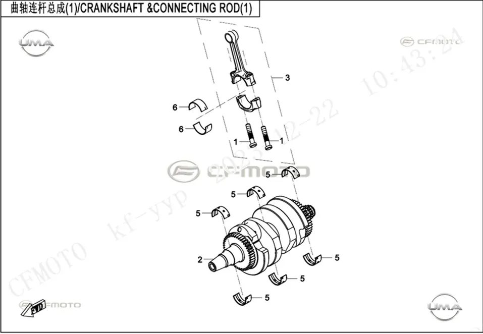 CFMoto 650MT E5 Krank Kol Yatağı (Siyah) (1.485~1.488)