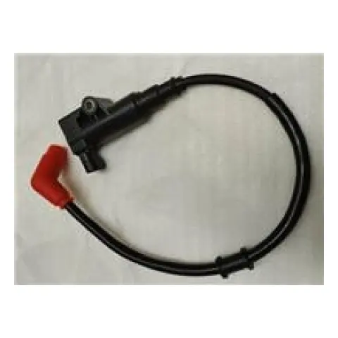 Arora GT 250MAX Ateşleme Bobini