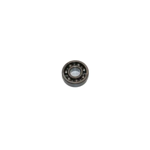 CFMoto CF Goes Terrox 400L (CF400ATR-4L) (T3B) Rulman