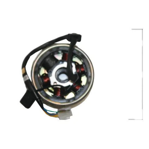 Mondial 110 Hector (2012) (Off Road) Alternator Komple