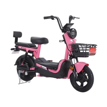 Arora ZR 3