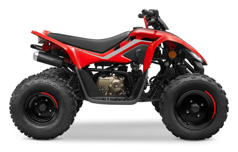 CFMoto CF110AY10